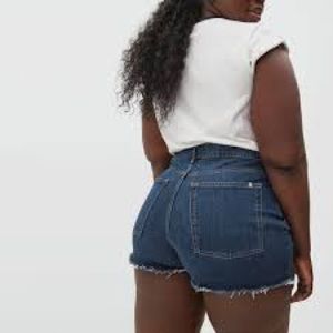 Everlane The Way-High Denim Short